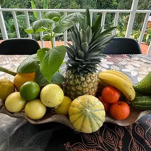 https://rsidence-flores-de-maria.comcaribbean.com